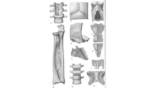 2b
2c
3b
3c
1b
5b
1a
2a
3a
5a
4
 