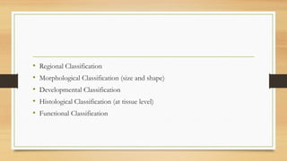 General Osteology , Bones classification Lecture | PPTX