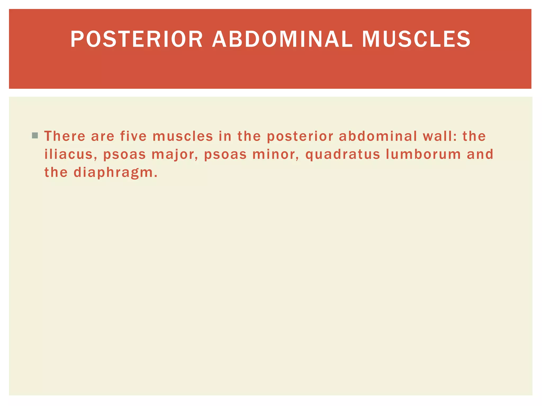 Osteology of abdomen | PPTX