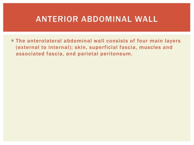 Osteology of abdomen | PPTX | Death, Injury, or Military Conflict ...