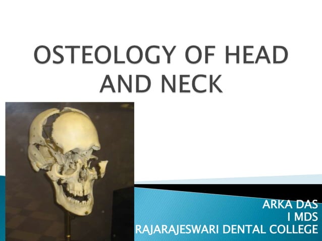Osteology of head and neck | PPTX