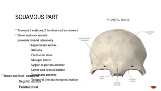 Comprehensive Osteology of the Head and Neck: Anatomy and Clinical ...