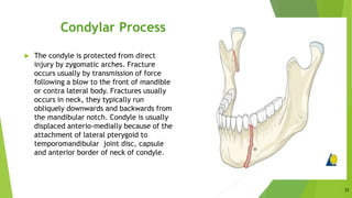 Osteology of head & neck ii | PPTX