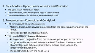 Strong Ramus Osteology of Mandible Final.pptx oral Implantology nhi | PPTX