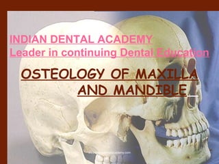 OSTEOLOGY OF MAXILLA
AND MANDIBLE
-
INDIAN DENTAL ACADEMY
Leader in continuing Dental Education
www.indiandentalacademy.com
 