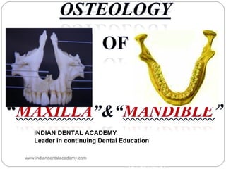 DR.SAPNA.B
POST GRADUATE STUDENT
PREVENTIVE & COMMUNITY
DEPARTMENT
INDIAN DENTAL ACADEMY
Leader in continuing Dental Education
www.indiandentalacademy.com
 