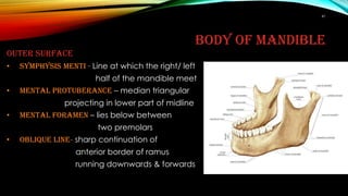 Sharp Ramus Osteology of skull and cervial vertebrae | PPTX
