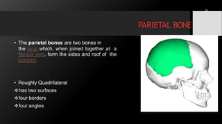 Osteology of skull lecture 1 | PPTX