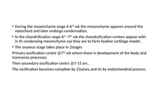 OSTEOLOGY OF THE SKULL AND VERTE3eeeeeeeeBRAE.pptx