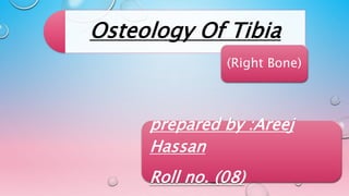 Osteology Of Tibia
(Right Bone)
prepared by :Areej
Hassan
Roll no. (08)
 