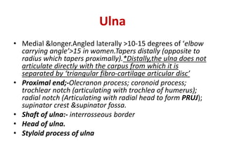 Ulna
• Medial &longer.Angled laterally >10-15 degrees of ‘elbow
carrying angle’>15 in women.Tapers distally (opposite to
radius which tapers proximally).*Distally,the ulna does not
articulate directly with the carpus from which it is
separated by ‘triangular fibro-cartilage articular disc’
• Proximal end;-Olecranon process; coronoid process;
trochlear notch (articulating with trochlea of humerus);
radial notch (Articulating with radial head to form PRUJ);
supinator crest &supinator fossa.
• Shaft of ulna:- interrosseous border
• Head of ulna.
• Styloid process of ulna
 