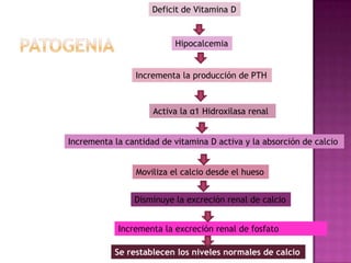 Deficit de Vitamina D


                           Hipocalcemia


                 Incrementa la producción de PTH



                     Activa la α1 Hidroxilasa renal


Incrementa la cantidad de vitamina D activa y la absorción de calcio


                 Moviliza el calcio desde el hueso


                Disminuye la excreción renal de calcio


            Incrementa la excreción renal de fosfato

           Se restablecen los niveles normales de calcio
 