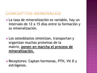  Latasa de mineralización es variable, hay un
 intervalo de 12 a 15 días entre la formación y
 su mineralización.

 Lososteoblastos sintetizan, transportan y
 organizan muchas proteínas de la
 matriz, ponen en marcha el proceso de
 mineralización.

 Receptores:   Captan hormonas, PTH, Vit D y
 estrógenos.
 