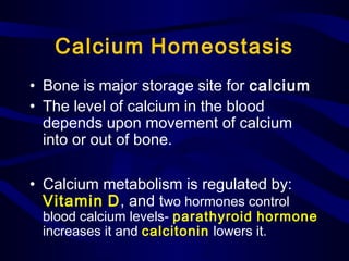 Calcium Homeostasis
• Bone is major storage site for calcium
• The level of calcium in the blood
depends upon movement of calcium
into or out of bone.
• Calcium metabolism is regulated by:
Vitamin D, and two hormones control
blood calcium levels- parathyroid hormone
increases it and calcitonin lowers it.
 