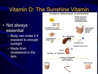 Vitamin D: The Sunshine Vitamin
• Not always
essential
– Body can make it if
exposed to enough
sunlight
– Made from
cholesterol in the
skin
 
