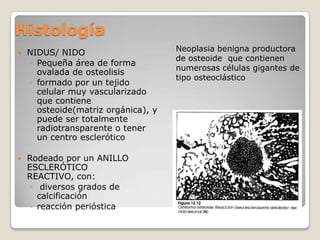 Histología


NIDUS/ NIDO
◦ Pequeña área de forma
ovalada de osteolisis
◦ formado por un tejido
celular muy vascularizado
que contiene
osteoide(matriz orgánica), y
puede ser totalmente
radiotransparente o tener
un centro esclerótico



Rodeado por un ANILLO
ESCLERÓTICO
REACTIVO, con:
◦ diversos grados de
calcificación
◦ reacción perióstica

Neoplasia benigna productora
de osteoide que contienen
numerosas células gigantes de
tipo osteoclástico

 