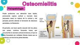 Fisiopatología
Puede producirse una alteración ósea rápida,
provocando ruptura cortical y necrosis ósea
(secuestro ósea) La ruptura de la cortical y del
periostio permite además la formación de abscesos
parostales y la fistulación.
El periostio, con buen aporte vascular del rico plexo
que posee, continua formando hueso que
circunscribe la necrosis cortical (involucro), el que se
halla frenestado por múltiples fistulas óseas que se
continúan con las de las partes blandas.
 