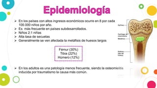  En los países con altos ingresos económicos ocurre en 8 por cada
100.000 niños por año.
 Es más frecuente en países subdesarrollados.
 Niños 2:1 niñas
 Alta tasa de secuelas
 Generalmente se ven afectada la metáfisis de huesos largos
Fémur (30%)
Tibia (22%)
Húmero (12%)
 En los adultos es una patología menos frecuente, siendo la osteomielitis
inducida por traumatismo la causa más común.
 