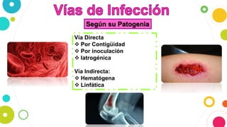 Según su Patogenia
Vía Directa
 Por Contigüidad
 Por inoculación
 Iatrogénica
Vía Indirecta:
 Hematógena
 Linfática
 