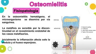 Fisiopatología
En la osteomielitis hematógena, el
microorganismo se disemina por vía
sanguínea.
La metáfisis es sensible por la discon-
tinuidad en el revestimiento endotelial de
los vasos metafisarios.
Inicialmente la inflamación afecta solo la
medula y el hueso esponjoso.
 