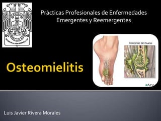 Prácticas Profesionales de Enfermedades
                      Emergentes y Reemergentes




Luis Javier Rivera Morales
 