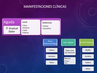 MANIFESTACIONES CLÍNICAS
Aguda
↑ Gradual
Dolor
Local
•Sens.
•Eritema
•Calor
•Edema
Sistémico
•Fiebre
•Escalofrío
Poco
Sintomatología
Cadera
Vertebra
Pelvis
Sub- Aguda
Dolor Leve
por Semanas
Mínimo
•Fiebre
•Sist.
Artritis Séptica
Rodilla
Hombro
Cadera
Niños
 
