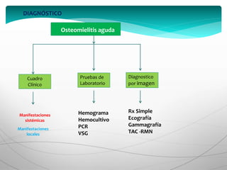 Osteomielitis aguda
Cuadro
Clínico
Pruebas de
Laboratorio
Diagnostico
por imagen
Manifestaciones
sistémicas
Manifestaciones
locales
Hemograma
Hemocultivo
PCR
VSG
Rx Simple
Ecografía
Gammagrafía
TAC -RMN
DIAGNÓSTICO
 