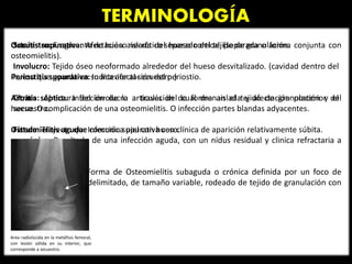 TERMINOLOGÍA
Osteítis supurativa: Afectación aislada del hueso cortical (separada o forma conjunta con
osteomielitis).
Periostitis supurativa: Indica afectación del periostio.
Artritis séptica: Infección de la articulación de forma aislada y afectación posterior del
hueso. O complicación de una osteomielitis. O infección partes blandas adyacentes.
Osteomielitis aguda: Infección supurativa con clínica de aparición relativamente súbita.
- crónica: Resultado de una infección aguda, con un nidus residual y clinica refractaria a
tto.
Absceso de Brodie: Forma de Osteomielitis subaguda o crónica definida por un foco de
infección activo bien delimitado, de tamaño variable, rodeado de tejido de granulación con
eburnación ósea.
Secuestro: Fragmento de hueso necrótico separado del tejido de granulación.
Involucro: Tejido óseo neoformado alrededor del hueso desvitalizado. (cavidad dentro del
hueso que guarda en su interior al secuestro.)
Cloaca: Abertura del involucro a través del cual drenan el tejido de granulación y el
secuestro.
Fístula: Trayecto que comunica piel con hueso.
Area radiolúcida en la metáfisis femoral,
con lesión sólida en su interior, que
corresponde a secuestro.
 