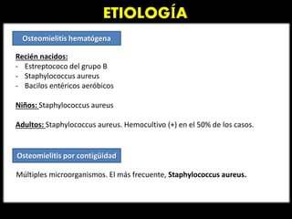 ETIOLOGÍA
Osteomielitis hematógena
Osteomielitis por contigüidad
Múltiples microorganismos. El más frecuente, Staphylococcus aureus.
Recién nacidos:
- Estreptococo del grupo B
- Staphylococcus aureus
- Bacilos entéricos aeróbicos
Niños: Staphylococcus aureus
Adultos: Staphylococcus aureus. Hemocultivo (+) en el 50% de los casos.
 
