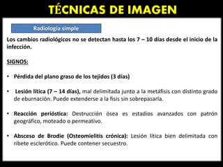 TÉCNICAS DE IMAGEN
Radiología simple
Los cambios radiológicos no se detectan hasta los 7 – 10 días desde el inicio de la
infección.
SIGNOS:
• Pérdida del plano graso de los tejidos (3 días)
• Lesión lítica (7 – 14 días), mal delimitada junto a la metáfisis con distinto grado
de eburnación. Puede extenderse a la fisis sin sobrepasarla.
• Reacción perióstica: Destrucción ósea es estadios avanzados con patrón
geográfico, moteado o permeativo.
• Absceso de Brodie (Osteomielitis crónica): Lesión lítica bien delimitada con
ribete esclerótico. Puede contener secuestro.
 