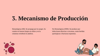 Hematógena (OH): Se propaga por la sangre. Es
común en huesos largos en niños y en la
columna vertebral en adultos.
No Hematógena (ONH): Se produce por
infecciones directas o cercanas, como heridas
quirúrgicas o fracturas expuestas.
3. Mecanismo de Producción
 