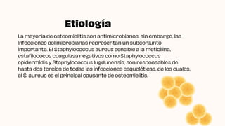 La mayoría de osteomielitis son antimicrobianos, sin embargo, las
infecciones polimicrobianas representan un subconjunto
importante. El Staphylococcus aureus sensible a la meticilina,
estafilococos coagulasa negativos como Staphylococcus
epidermidis y Staphylococcus lugdunensis, son responsables de
hasta dos tercios de todas las infecciones esqueléticas, de los cuales,
el S. aureus es el principal causante de osteomielitis.
Etiología
 