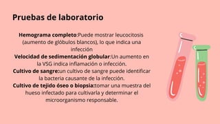 Hemograma completo:Puede mostrar leucocitosis
(aumento de glóbulos blancos), lo que indica una
infección
Velocidad de sedimentación globular:Un aumento en
la VSG indica inflamación o infección.
Cultivo de sangre:un cultivo de sangre puede identificar
la bacteria causante de la infección.
Cultivo de tejido óseo o biopsia:tomar una muestra del
hueso infectado para cultivarla y determinar el
microorganismo responsable.
Pruebas de laboratorio
 