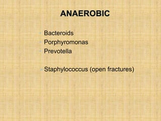 • Bacteroids
• Porphyromonas
• Prevotella
Staphylococcus (open fractures)
 