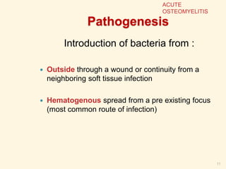 Pathogenesis
Introduction of bacteria from :
 Outside through a wound or continuity from a
neighboring soft tissue infection
 Hematogenous spread from a pre existing focus
(most common route of infection)
11
ACUTE
OSTEOMYELITIS
 