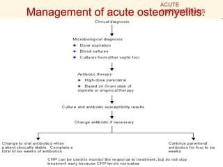 Management of acute osteomyelitis.
ACUTE
OSTEOMYELITIS
 