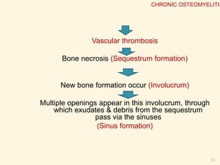  Incidence of infection increases with increase in
grade of open fractures (Guistilo, Anderson) :
◦ Approx. 2% for type I and type II
◦ Approx. 10% to 50% for type III
 The tibia most common site for infection.
CHRONIC OSTEOMYELITIS
 