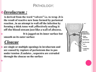 Osteomyelitis | PPTX