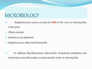 MICROBIOLOGY
 Staphylococcus aureus account for 80% of the cases of osteomyelitis
of the jaws.
 Others include
 Streptococcus epidermis
 Staphylococcus albus and Salmonella.
 In addition Mycobacterium tuberculosis, Treponema palladium and
Actinomyces israelli produce certain specific forms of osteomyelitis.
 