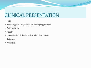 CLINICAL PRESENTATION
• Pain
• Swelling and erythema of overlying tissues
• Adenopathy
• Fever
• Paresthesia of the inferior alveolar nerve
• Trismus
• Malaise
 