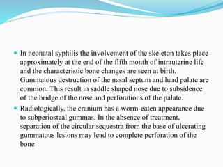  In neonatal syphilis the involvement of the skeleton takes place
approximately at the end of the fifth month of intrauterine life
and the characteristic bone changes are seen at birth.
Gummatous destruction of the nasal septum and hard palate are
common. This result in saddle shaped nose due to subsidence
of the bridge of the nose and perforations of the palate.
 Radiologically, the cranium has a worm-eaten appearance due
to subperiosteal gummas. In the absence of treatment,
separation of the circular sequestra from the base of ulcerating
gummatous lesions may lead to complete perforation of the
bone
 