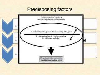 Predisposing factors
• Conditions that alter host defence
• Conditions that alter vascularity of bone
• Virulence of organisms
 