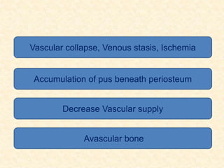 Vascular collapse, Venous stasis, Ischemia
Accumulation of pus beneath periosteum
Decrease Vascular supply
Avascular bone
 