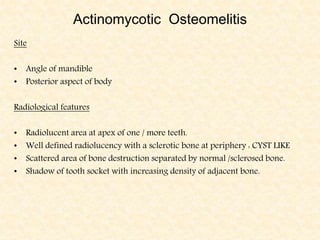 Actinomycotic Osteomelitis
Site
• Angle of mandible
• Posterior aspect of body
Radiological features
• Radiolucent area at apex of one / more teeth.
• Well defined radiolucency with a sclerotic bone at periphery : CYST LIKE
• Scattered area of bone destruction separated by normal /sclerosed bone.
• Shadow of tooth socket with increasing density of adjacent bone.
 