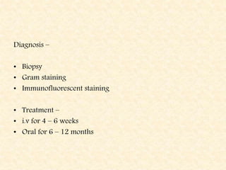 Diagnosis –
• Biopsy
• Gram staining
• Immunofluorescent staining
• Treatment –
• i.v for 4 – 6 weeks
• Oral for 6 – 12 months
 