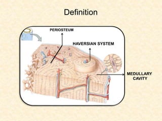 Definition
PERIOSTEUM
HAVERSIAN SYSTEM
MEDULLARY
CAVITY
 