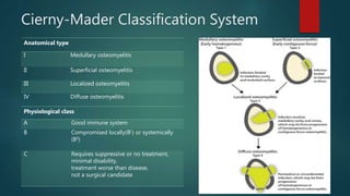 Cierny-Mader Classification System
Anatomical type
I Medullary osteomyelitis
II Superficial osteomyelitis
III Localized osteomyelitis
IV Diffuse osteomyelitis
Physiological class
A Good immune system
B Compromised locally(BL) or systemically
(BS)
C Requires suppressive or no treatment,
minimal disability,
treatment worse than disease,
not a surgical candidate
 