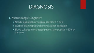 DIAGNOSIS
 Microbiologic Diagnosis:
 Needle aspiration or surgical specimen is best
 Swab of draining wound or sinus is not adequate
 Blood cultures in untreated patients are positive ~50% of
the time
 