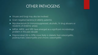 OTHER PATHOGENS
 Viruses and fungi may also be involved
 Gram negative bacteria (in elderly patients)
 Mycobacterium (in immunosuppressed, alcoholic, IV drug abusers or
residents of endemic areas)
 MRSA, MRSE, and VRE have emerged as a significant microbiologic
problem in the past decade
 Polymicrobial (36 to 50%) more likely in diabetic foot osteomyelitis,
posttraumatic osteomyelitis and chronic osteomyelitis
 