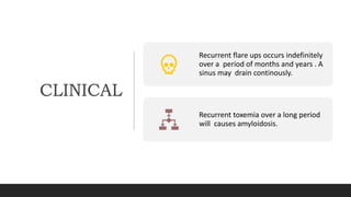 CLINICAL
Recurrent flare ups occurs indefinitely
over a period of months and years . A
sinus may drain continously.
Recurrent toxemia over a long period
will causes amyloidosis.
 